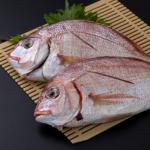 旬の食材で免疫力アップ！