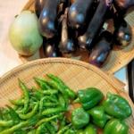 菜園生活（５）