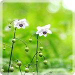 都心から近いプチ登山