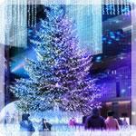 今年も煌めく光の渦へ  イルミネーション2025〜2026