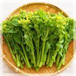 体調に気を配って春満喫♪ 春の暦と健康