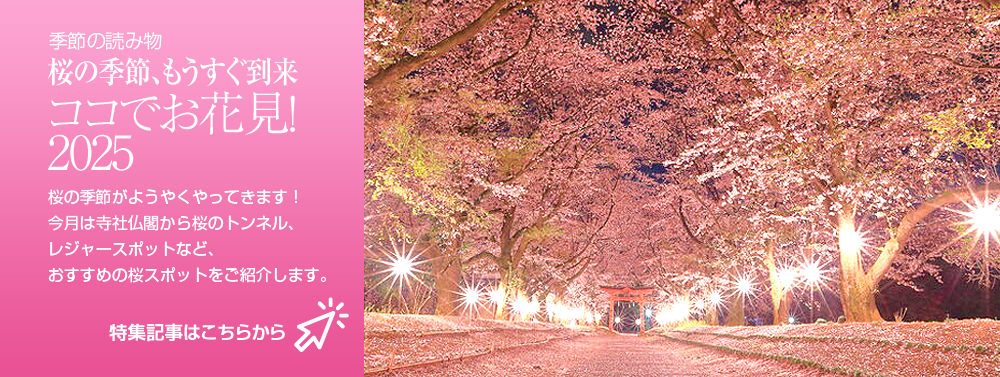 桜の季節、もうすぐ到来  ココでお花見！2025　