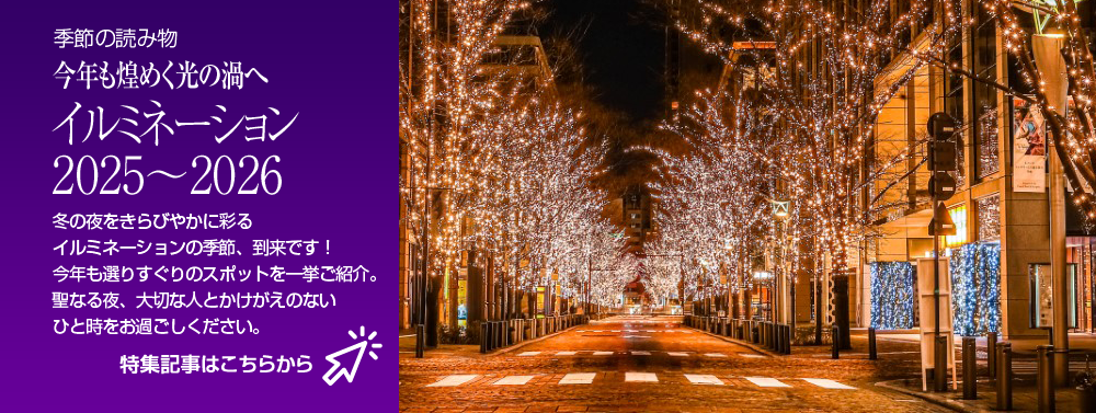 今年も煌めく光の渦へ  イルミネーション2025〜2026