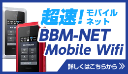 BBM-WiMAX