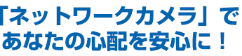 「ネットワークカメラ」で あなたの心配を安心に！