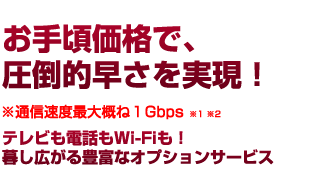 お手頃価格で、 圧倒的早さを実現！※通信速度最大概ね１Gbps ※1 ※2 テレビも電話もWi-Fiも！ 暮し広がる豊富なオプションサービス