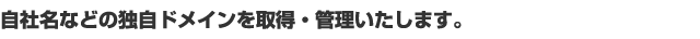 自社名などの独自ドメインを取得・管理いたします。