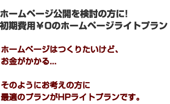 ホームページ公開を検討の方に! 初期費用￥0のホームページライトプラン