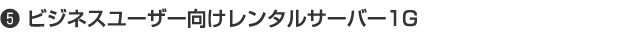 5 ビジネスユーザー向けレンタルサーバー1G